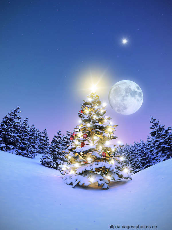 winter-und-weihnachtsbilder